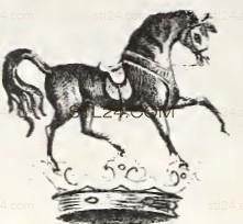 ANIMAL_0194